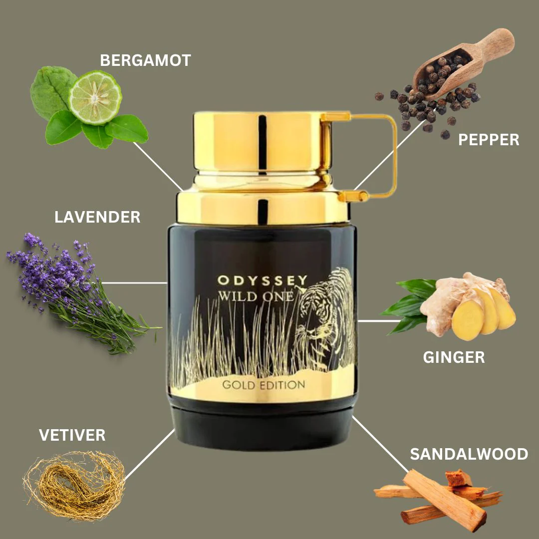 DUMMY - Armaf Odyssey Wild One Men 100ml EDP